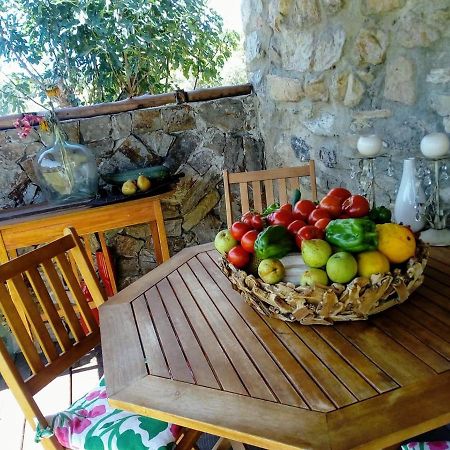 Casa Do Trapo Otel Sardoal Dış mekan fotoğraf